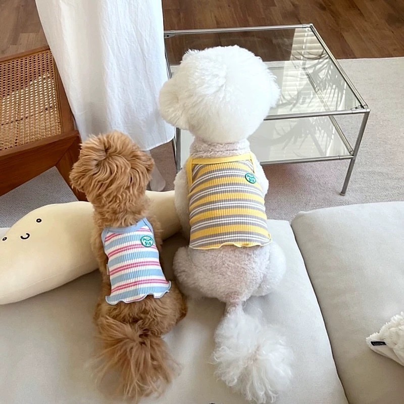 ♡【 L11 預購 】  短版多彩條紋卷卷背心-細節圖2