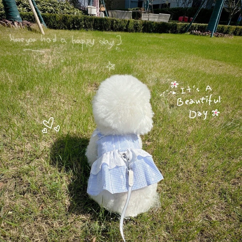 ♡【 L61 預購 】 小雛菊緹花蕾絲拼接背心裙 可牽繩-細節圖3