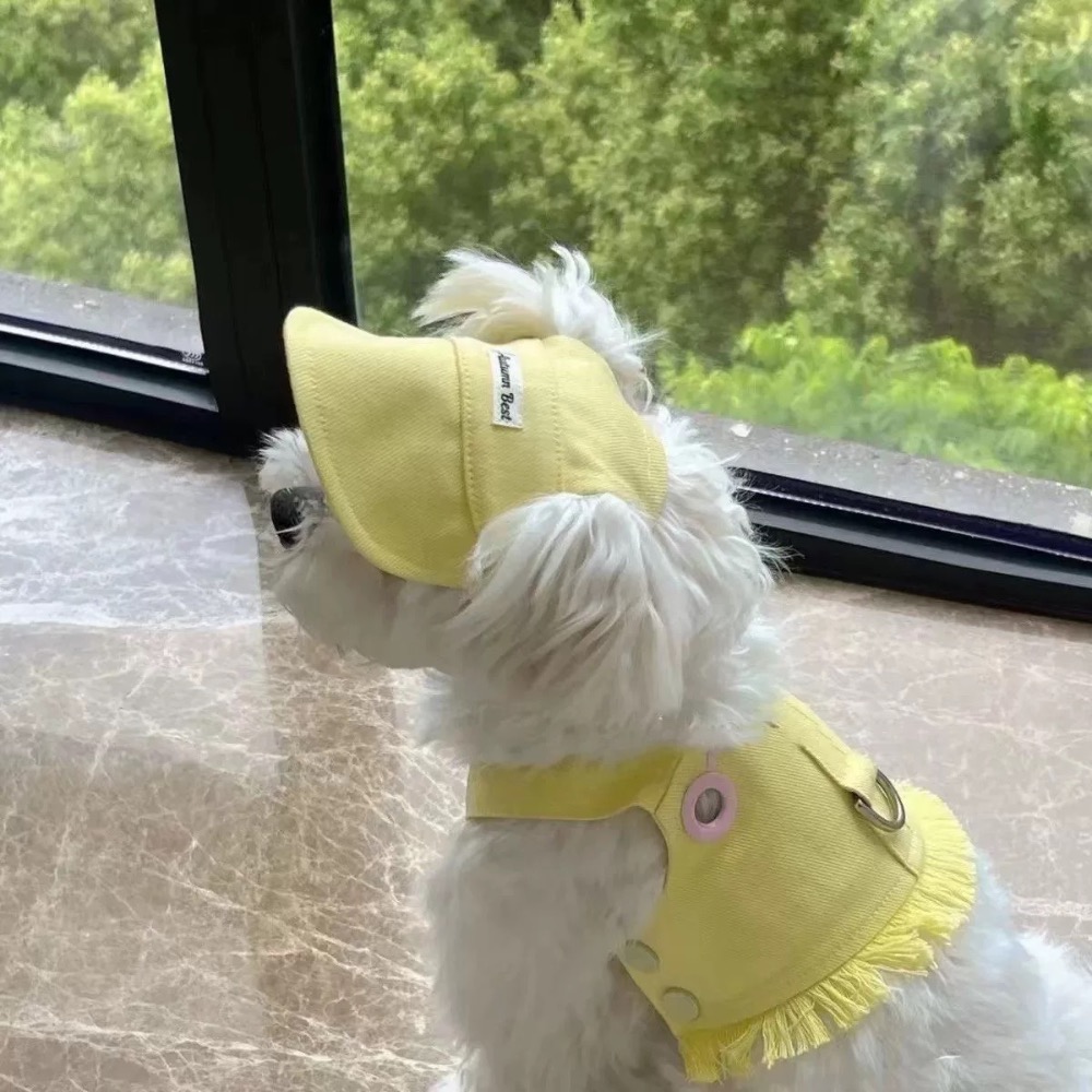 ♡【 L62 預購 】 短版抽鬚彩色背心 可牽繩 附帽子 附牽繩-細節圖4