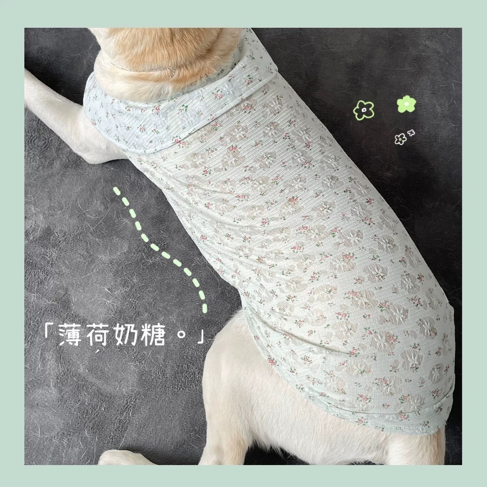 ♡【 L68 預購 】 小碎花娃娃領薄料彈力背心 可穿至大狗.ᐟ.ᐟ.ᐟ ⋆-細節圖4