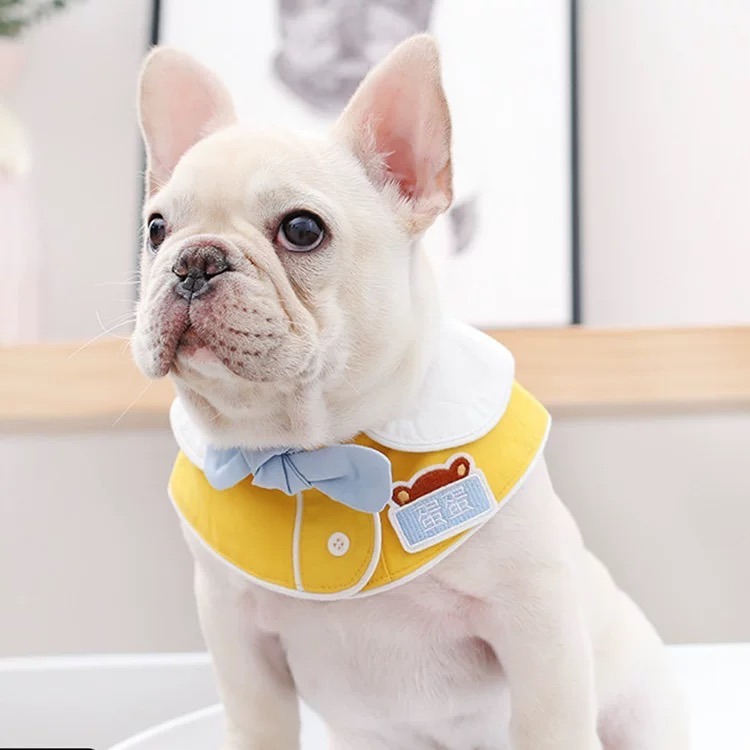 ♡【 M01 預購 】 客製化幼稚園名牌領巾 黃/藍 兩色 法鬥友善款-細節圖3