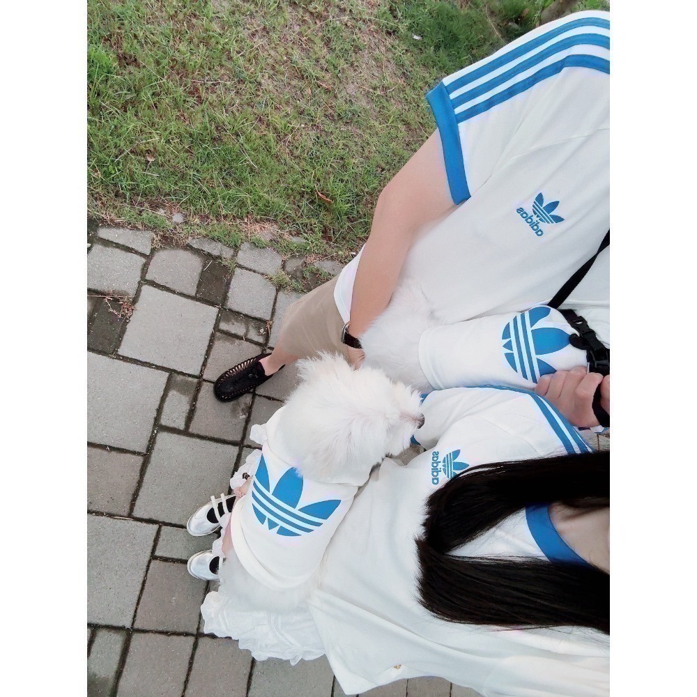 【預購】每日空運回台 adidas originals 上海限定寵物系列代購 愛迪達寵物衣 愛迪達寵物運動衫賣場-細節圖5