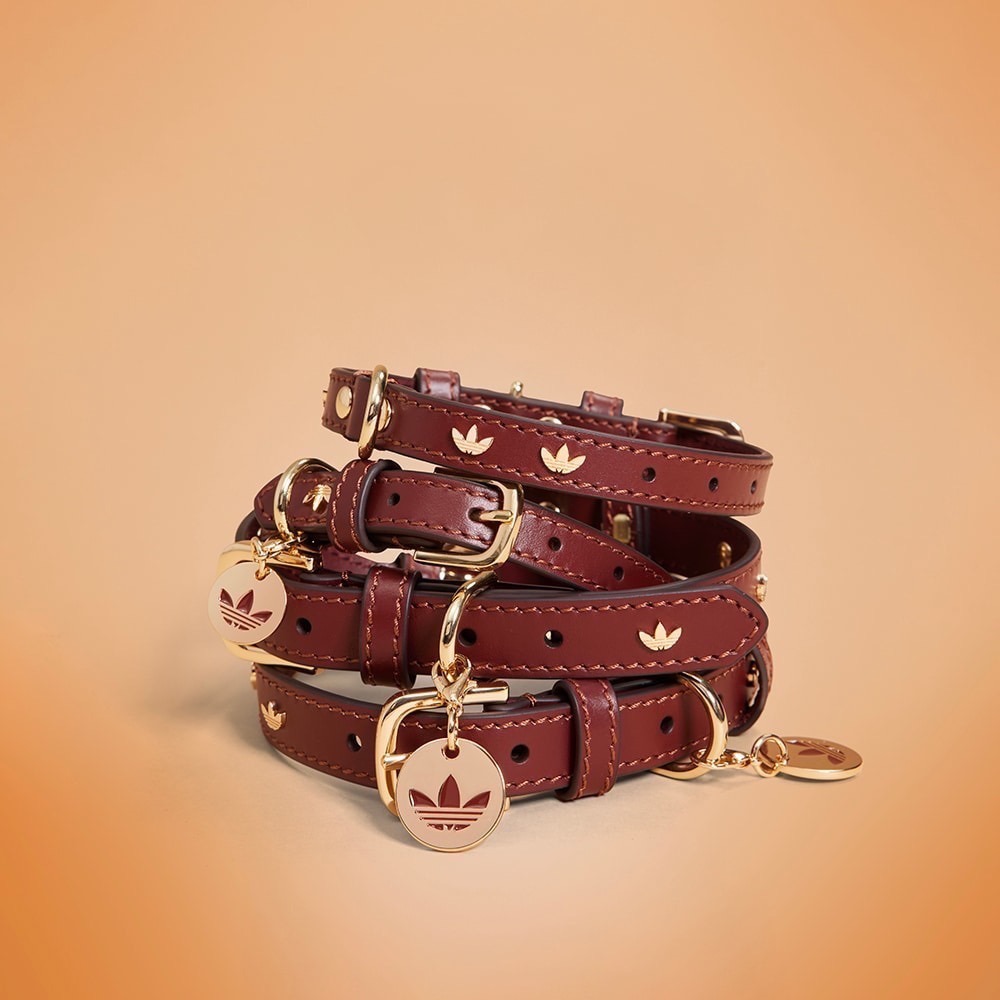 【預購】每日空運回台 adidas originals 上海限定寵物系列代購 愛迪達寵物項圈 真牛皮鉚釘項圈 賣場-細節圖2