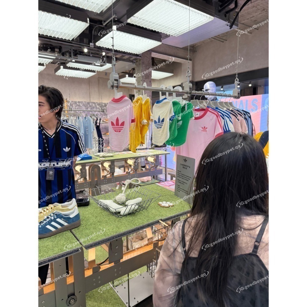 【預購】每日空運回台 adidas originals 上海限定寵物系列代購 愛迪達寵物項圈 真牛皮鉚釘項圈 賣場-細節圖5