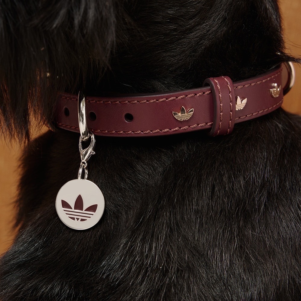 【預購】每日空運回台 adidas originals 上海限定寵物系列代購 愛迪達寵物項圈 真牛皮鉚釘項圈 賣場-細節圖7