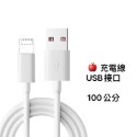 Lightning USB-100公分