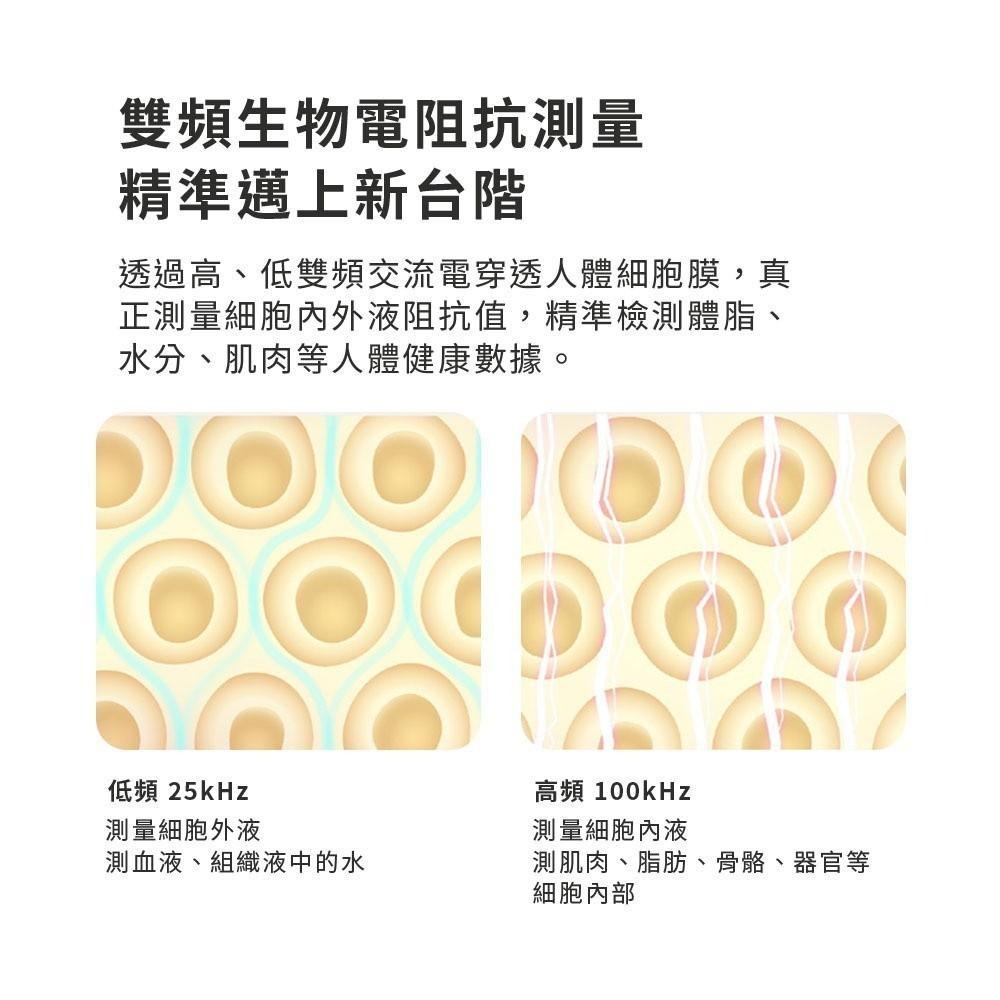 小米 米家 體脂秤 S400  體脂 體脂秤 體脂計 體脂機 測量 BMI 體脂率 小米體脂秤2 小米體脂計2-細節圖4