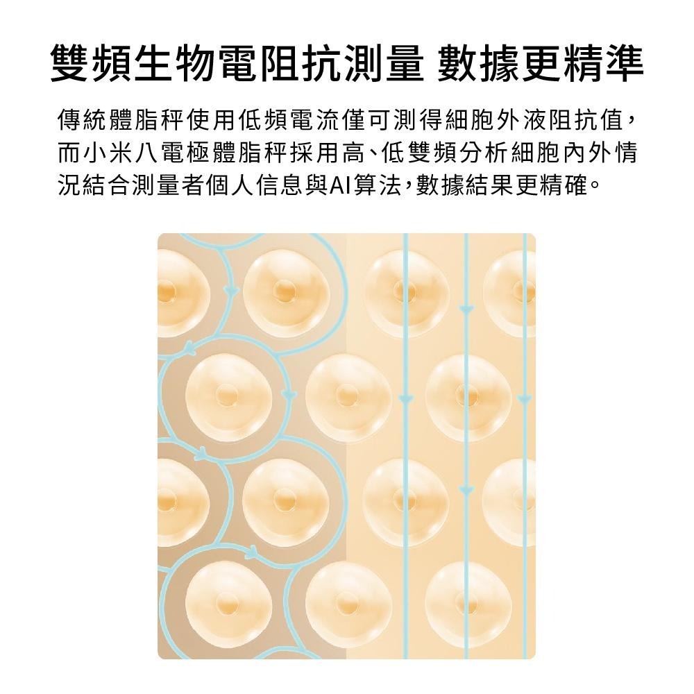 小米 八電極體脂秤 八電極 家用 重秤 電子秤 智能體脂秤 高精度 精準檢測 35項身體綜合指標 BMI檢測 好幫手-細節圖5