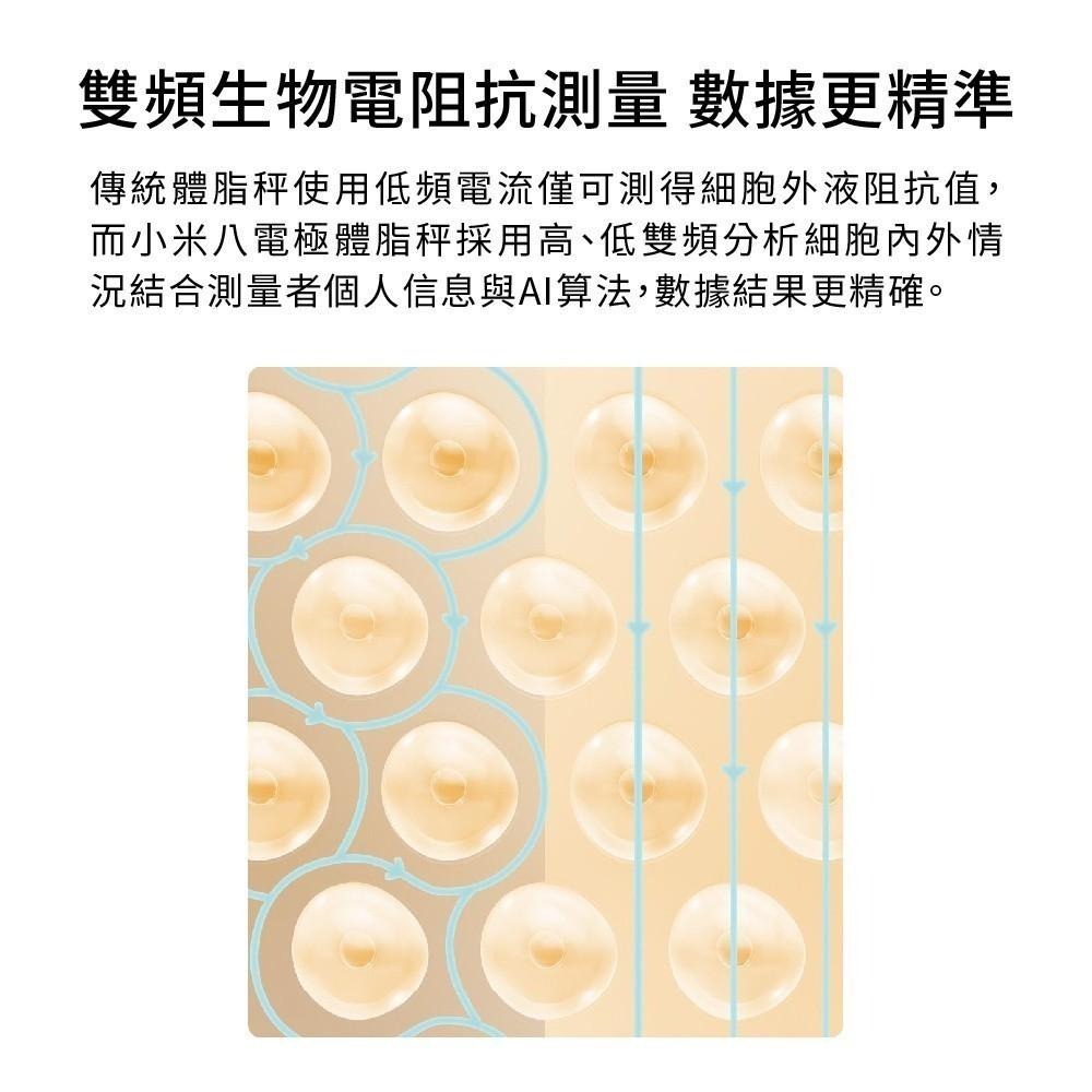 【電子發票】-小米 八電極體脂秤S800  智能體脂秤 高精度 精準檢測 35項身體綜合指標 BMI檢測 好幫手-細節圖7