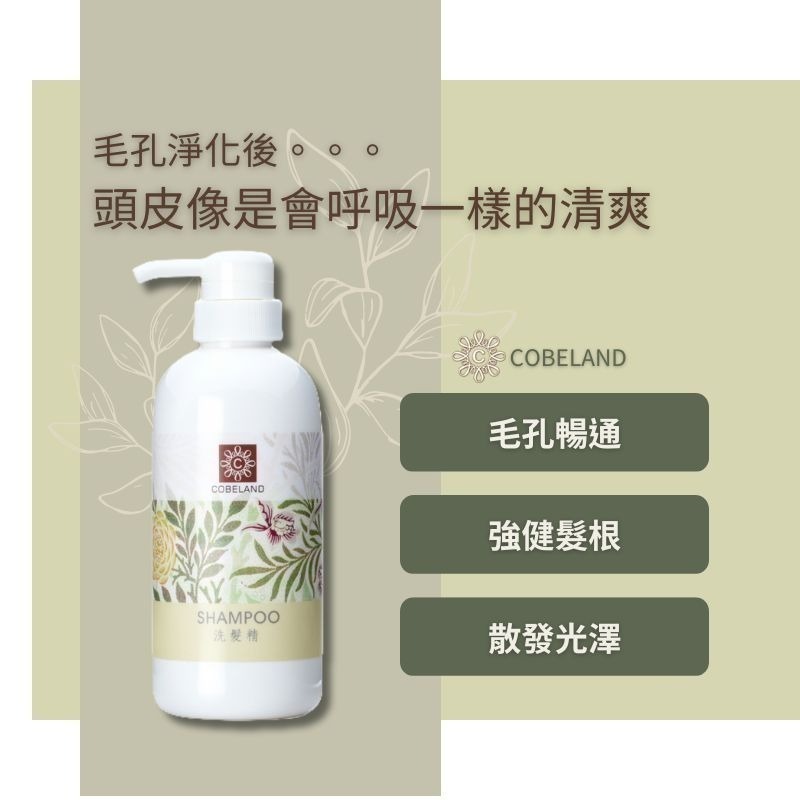 【蔻柏蘭洗髮精】500ml 頭皮屑 頭癢 出油 不含藥性 毛髮蓬鬆感 強化滋養髮根 活化頭皮 去除多餘油脂 呈現透亮光澤-細節圖3