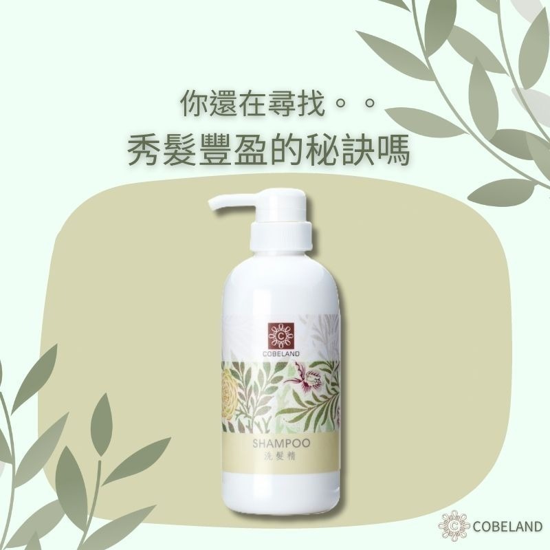 【蔻柏蘭洗髮精】500ml 頭皮屑 頭癢 出油 不含藥性 毛髮蓬鬆感 強化滋養髮根 活化頭皮 去除多餘油脂 呈現透亮光澤-細節圖4