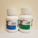 勁貓寶90g  貓心胺Plus60克 牛磺酸+離胺酸+B群-規格圖1