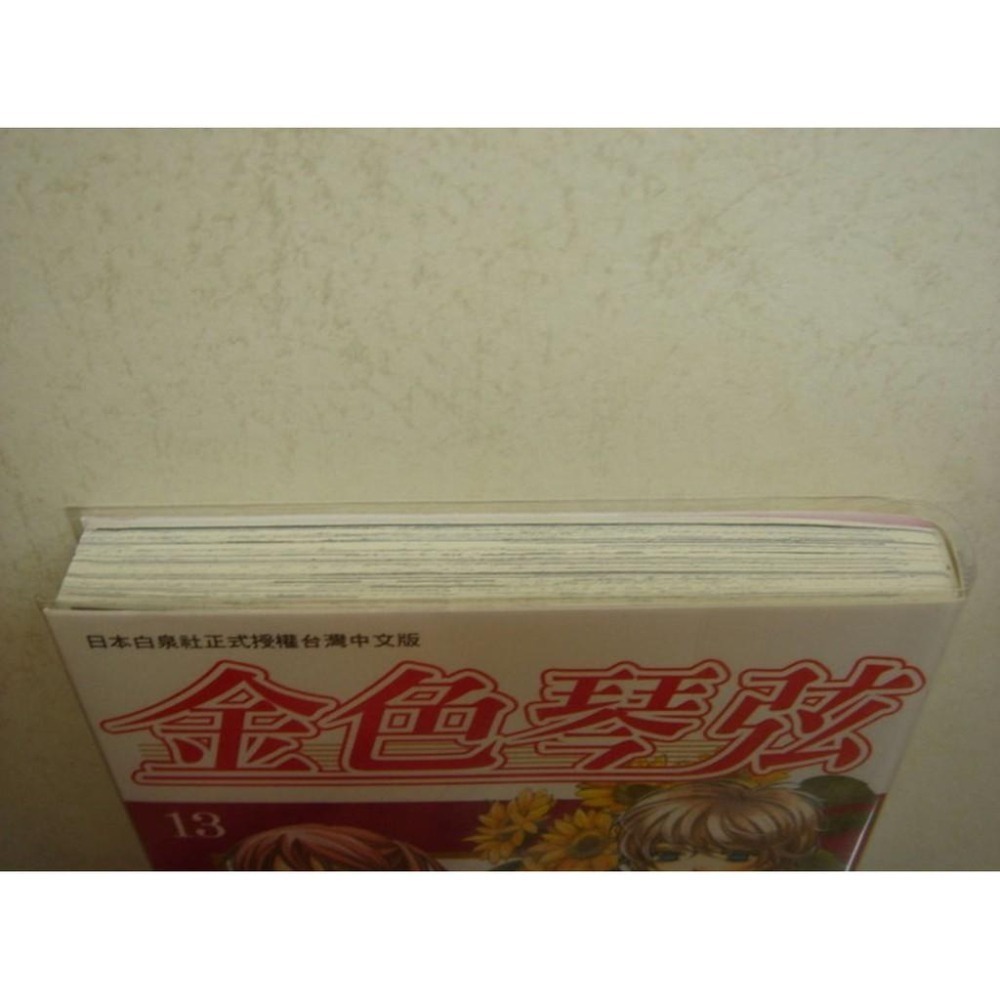 自有書九成九近全新！長鴻 金色琴弦 第13集-細節圖3