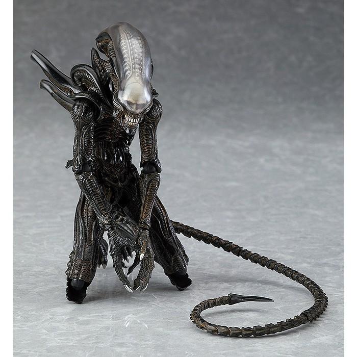 【安特羅斯】海洋堂 figma SP-108 異形 Alien 終極戰士 鐵血戰士 Predator 異形戰場-細節圖3