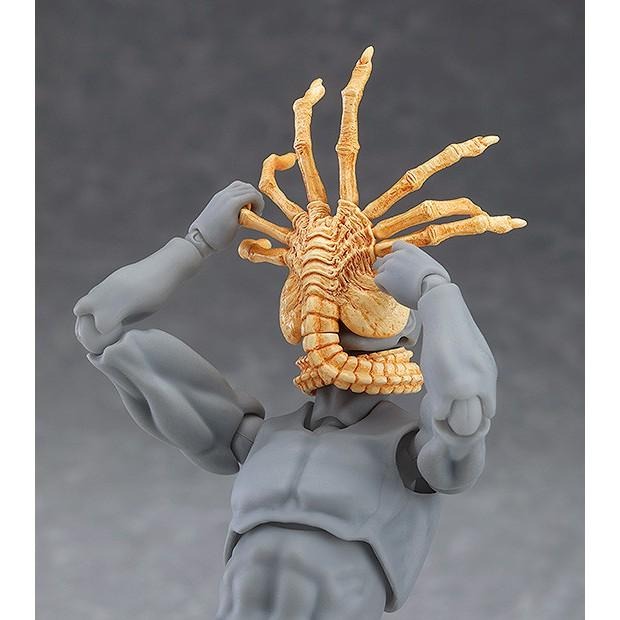 【安特羅斯】海洋堂 figma SP-108 異形 Alien 終極戰士 鐵血戰士 Predator 異形戰場-細節圖4