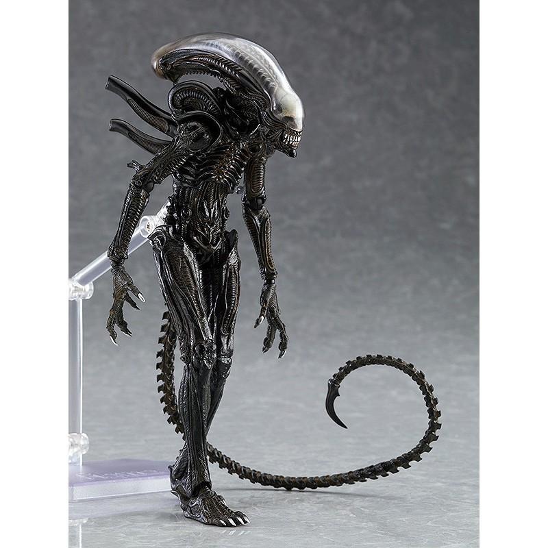 【安特羅斯】海洋堂 figma SP-108 異形 Alien 終極戰士 鐵血戰士 Predator 異形戰場-細節圖5