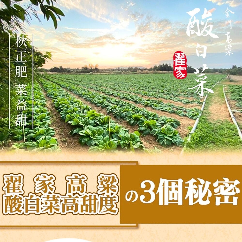 【金門翟家】高梁酸白菜(600g/包)-細節圖5