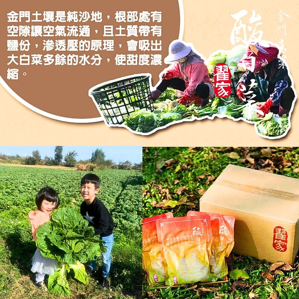 【金門翟家】高梁酸白菜(600g/包)-細節圖7