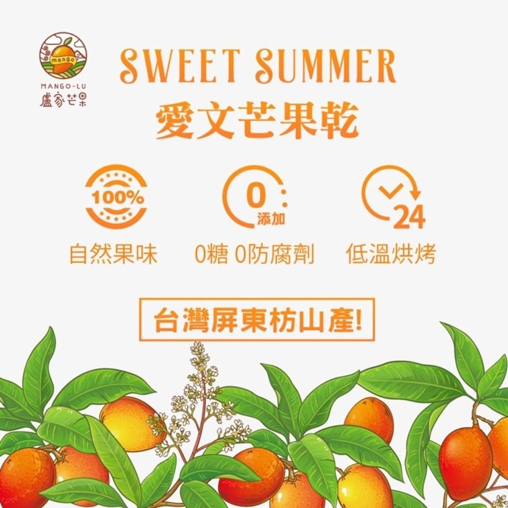 【枋山盧家芒果】完熟愛文芒果乾(70g/包)-細節圖6