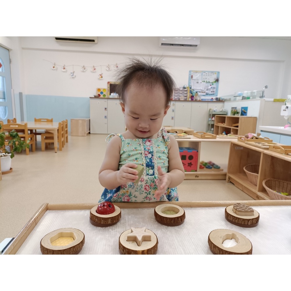 「二手」Ricrac&Ruffles/RR-DM小天菜-細節圖2