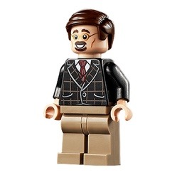 ［點子樂高］Lego 76178 Ben Urich，高雄可面交
