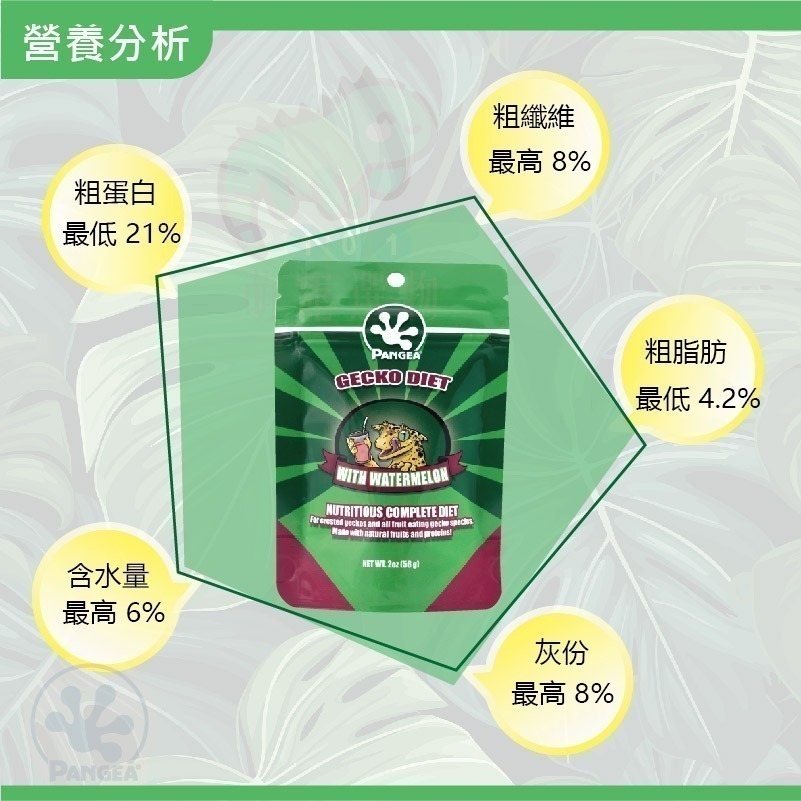 最新期效 原廠公司正貨 原裝正品 非分裝 【西瓜】果泥 盤古果泥Pangea 豹紋、肥尾、瘤尾、睫角、魔物、巨人-細節圖2