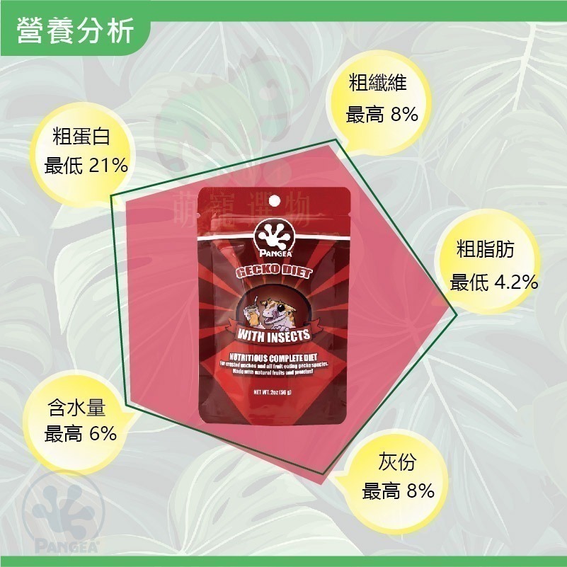 最新效期 原廠公司正貨 原裝正品 非分裝 【昆蟲】果泥 盤古果泥Pangea 豹紋、肥尾、瘤尾、睫角、魔物、巨人-細節圖2