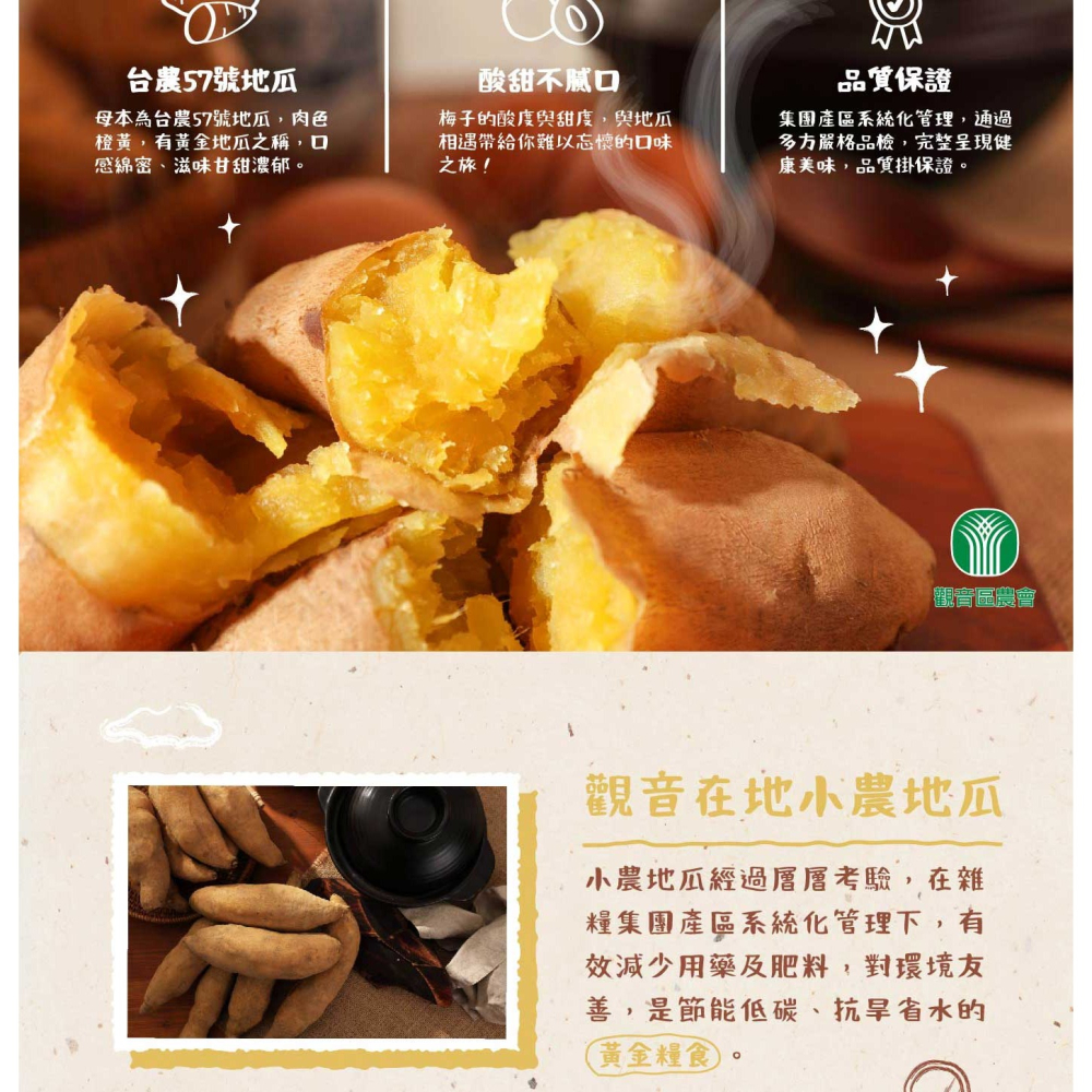 黃金地瓜酥片-梅子風味-細節圖2