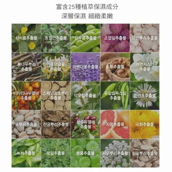 韓國Jmella香水身體乳500ML-細節圖4