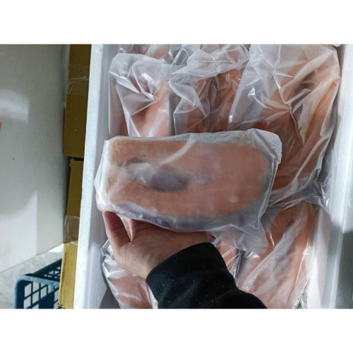 鮭魚片18P/20P 包10%冰/件出/冷凍生鮮食品/歡迎餐廳合作/可面交自取