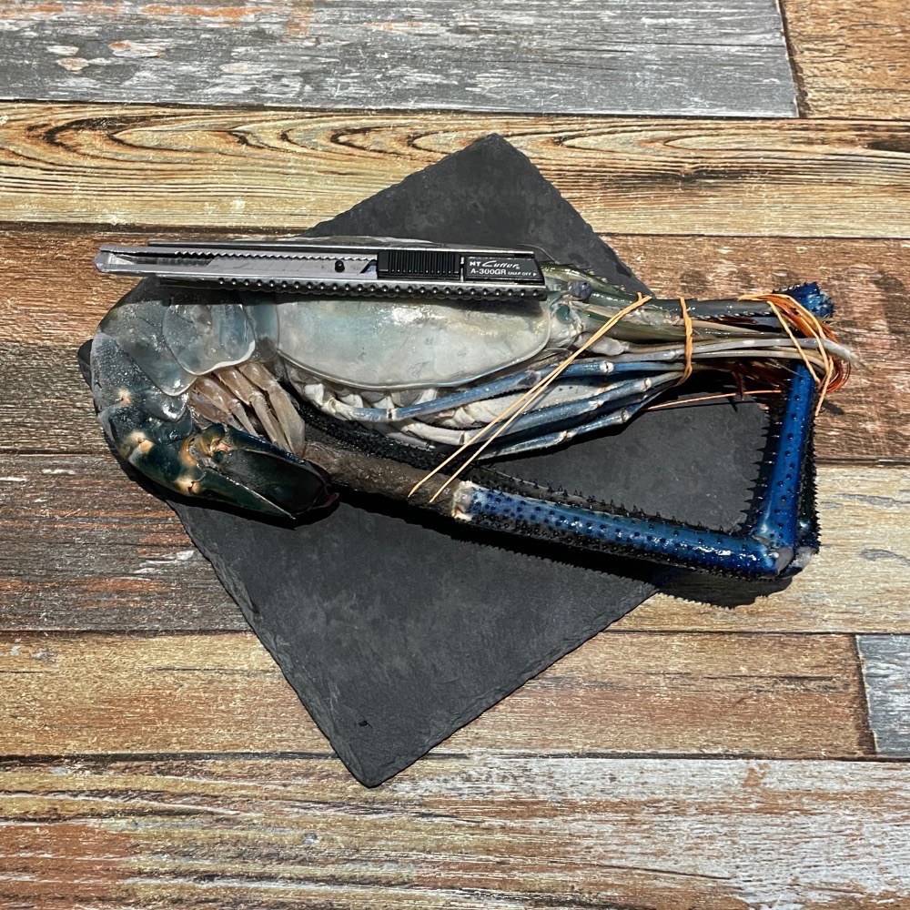 野生超大爆膏泰國蝦/淡水長臂大蝦/斯里蘭卡/-細節圖2