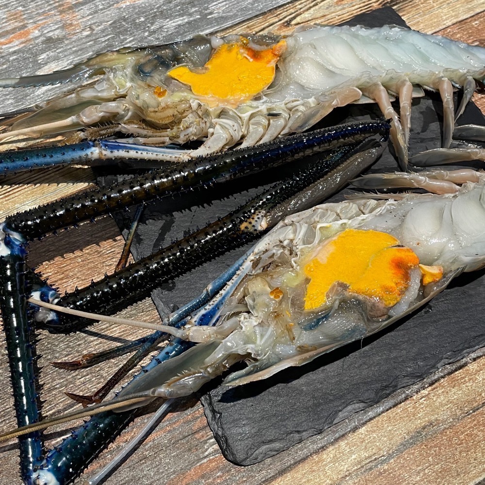 野生超大爆膏泰國蝦/淡水長臂大蝦/斯里蘭卡/-細節圖3