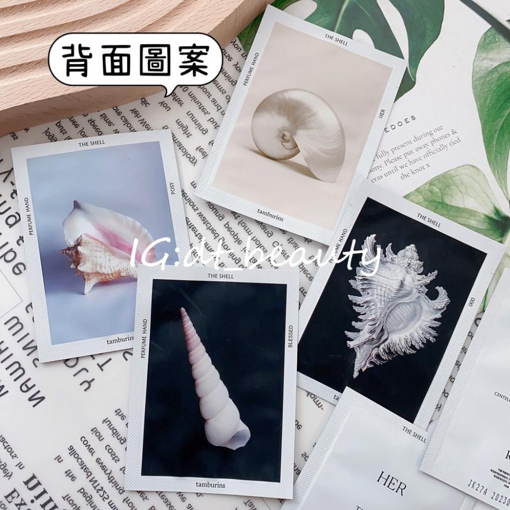 韓國 Tamburins 試用包 貝殼香水護手霜 護手霜 貝殼香氛護手霜 貝殼護手霜 香氛護手霜-細節圖2