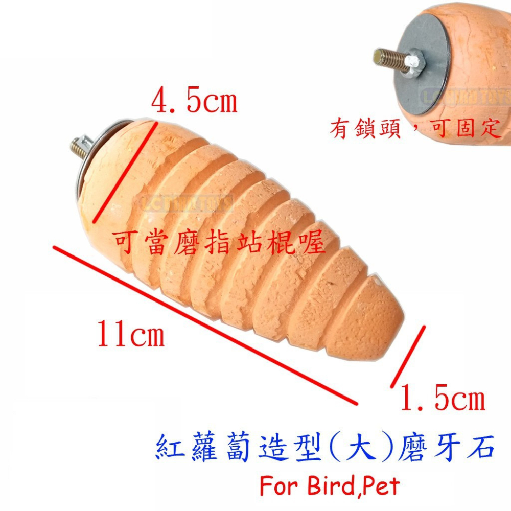 紅蘿薥造型磨牙石(大)/磨指站棍/磨嘴磨齒/補充礦物質與鈣質/鸚鵡、蜜袋鼯、龍貓、倉鼠等/鸚鵡玩具/鳥玩具/礦物石-細節圖2