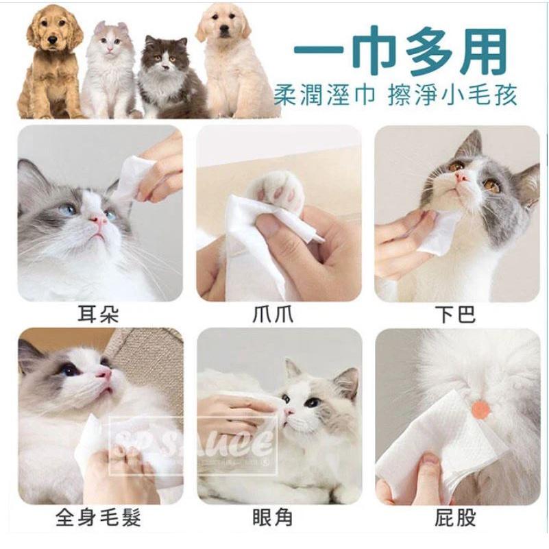 寵物專用潔淨濕紙巾👏 80抽寵物濕紙巾 貓狗清潔 乾洗澡 貓洗澡 寵物濕巾 去眼垢  寵物眼部濕巾 貓犬通用-細節圖5
