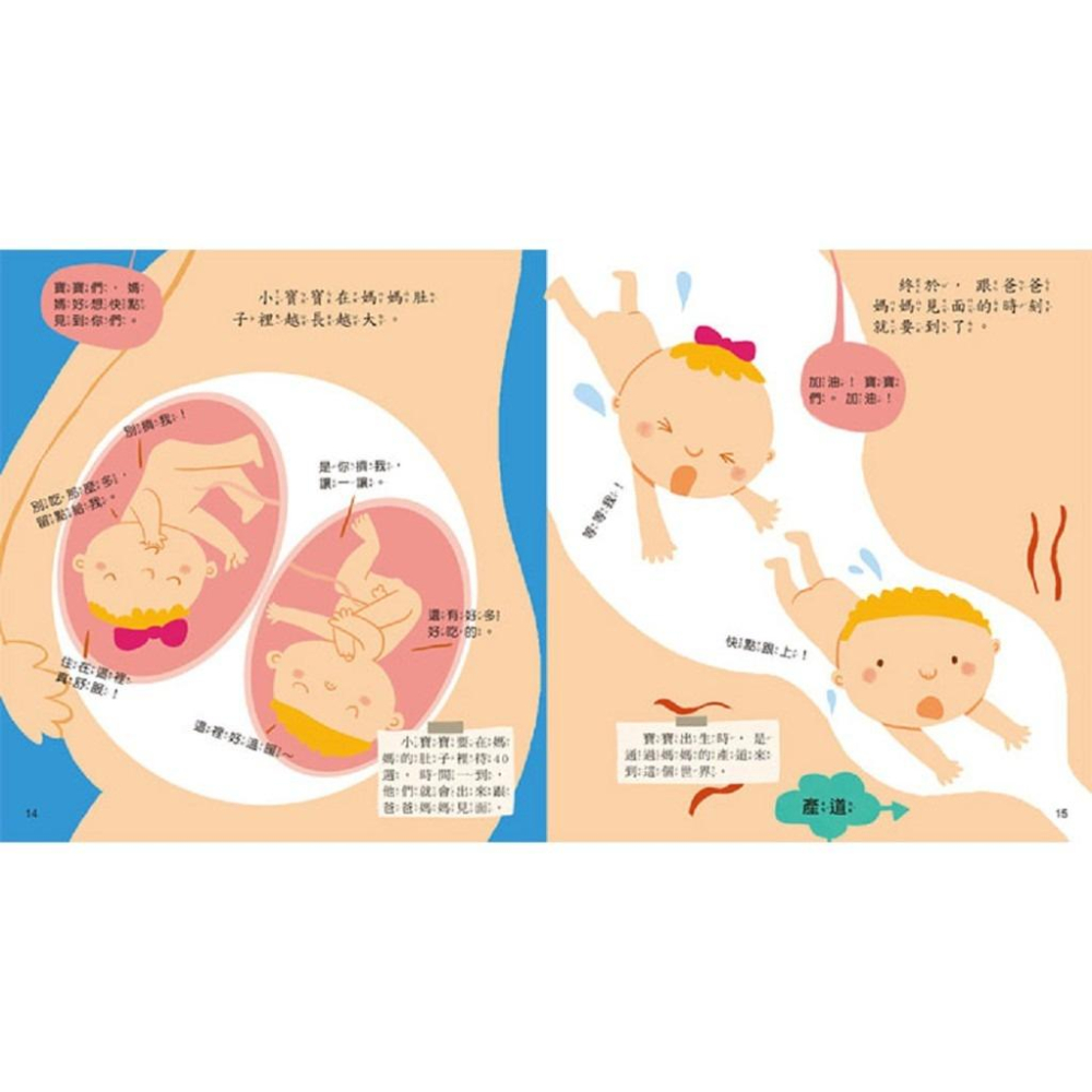 幼兒成長書  寶貝成長繪本：媽媽，我從哪裡來？我到底是從哪裡來的呢？-細節圖5