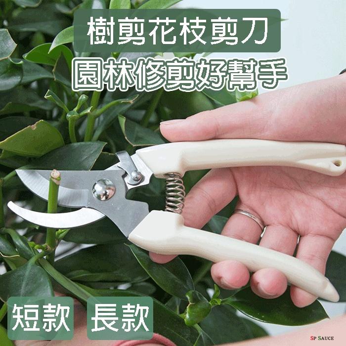 圓頭 剪刀不銹鋼 修樹 家用 修枝剪 花木剪刀 園林 花藝果樹剪 花枝剪刀 修花園藝 工具-細節圖3