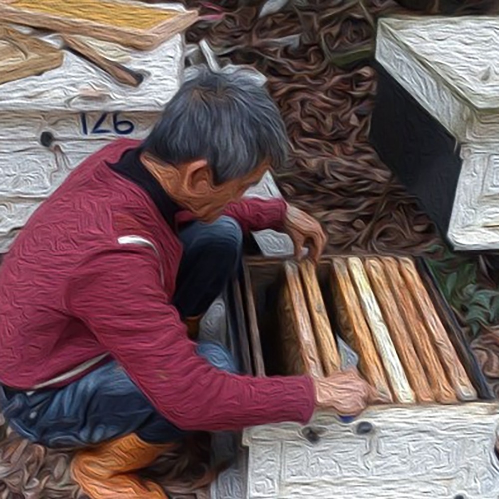 三台斤龍眼蜂蜜 小日蜂光 龍眼蜜-細節圖3