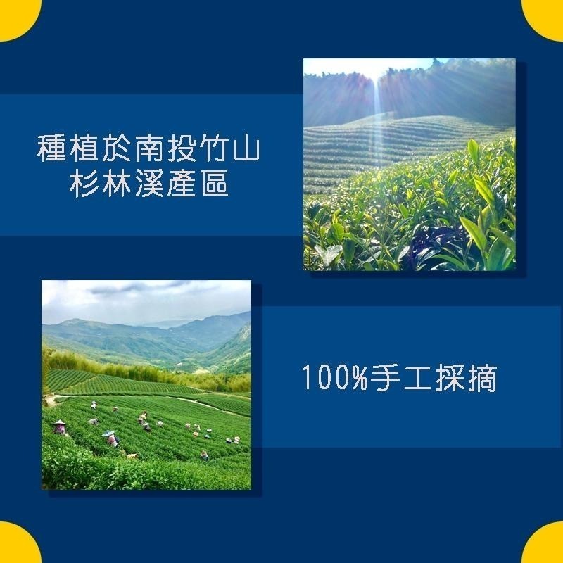 【覓軒烘焙】何方找茶系列 高山烏龍茶包 3g 單包-細節圖3