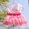 寵物衣服 寵物洋裝 貓衣服 狗衣服 春夏寵物衣服 寵物連衣裙 貓洋裝 狗洋裝-規格圖7