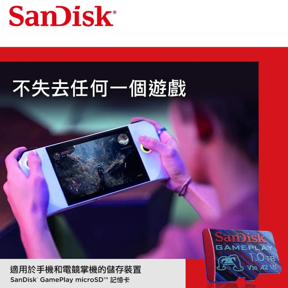 SanDisk GamePlay 128GB 256GB microSD 行動裝置電玩記憶卡 電玩系列 手游卡 光華商場-細節圖3