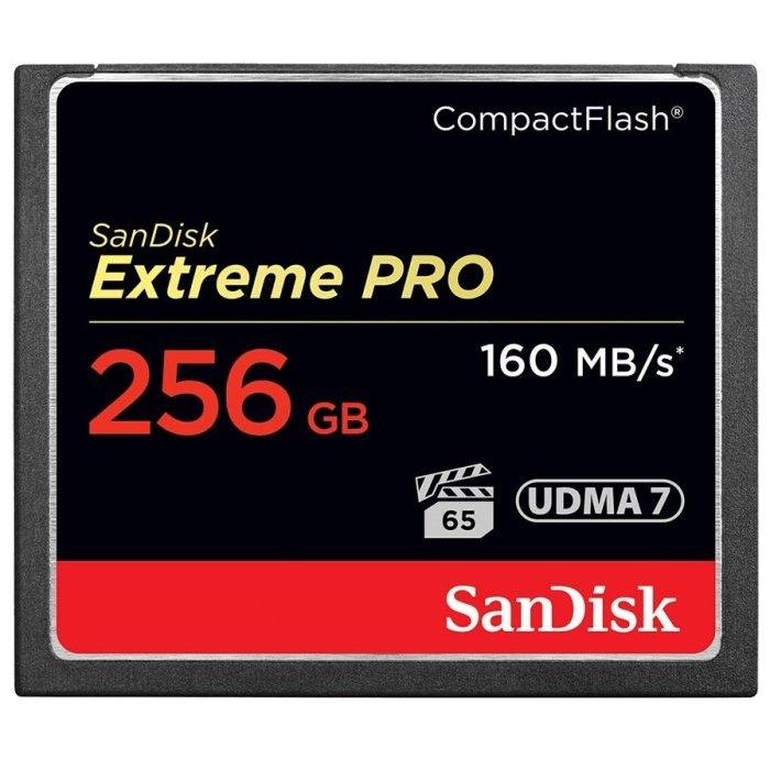 SanDisk Extreme Pro CF 256GB 256G 160M 記憶卡 大卡 光華商場-細節圖2