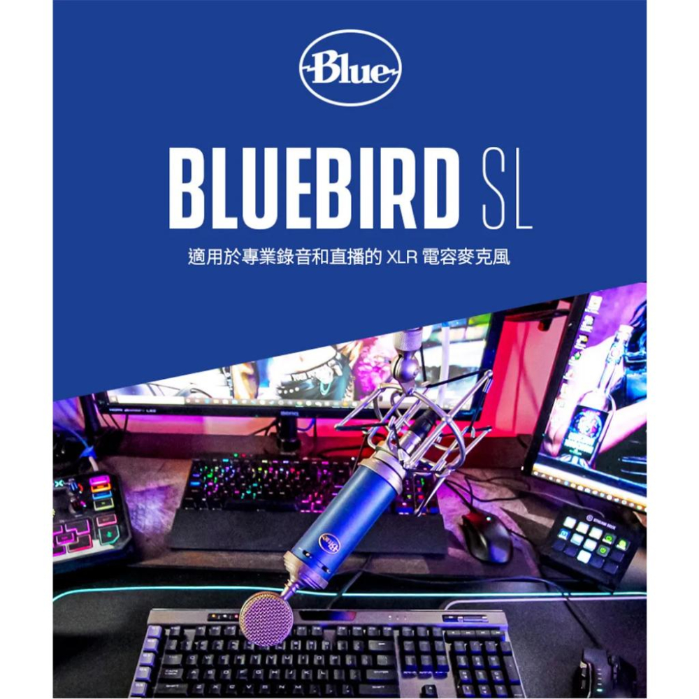 Logitech 羅技 Blue BLUEBIRD SL 藍鳥 專業麥克風 電容式麥克風 直播 實況 錄音 麥克風 光華-細節圖3