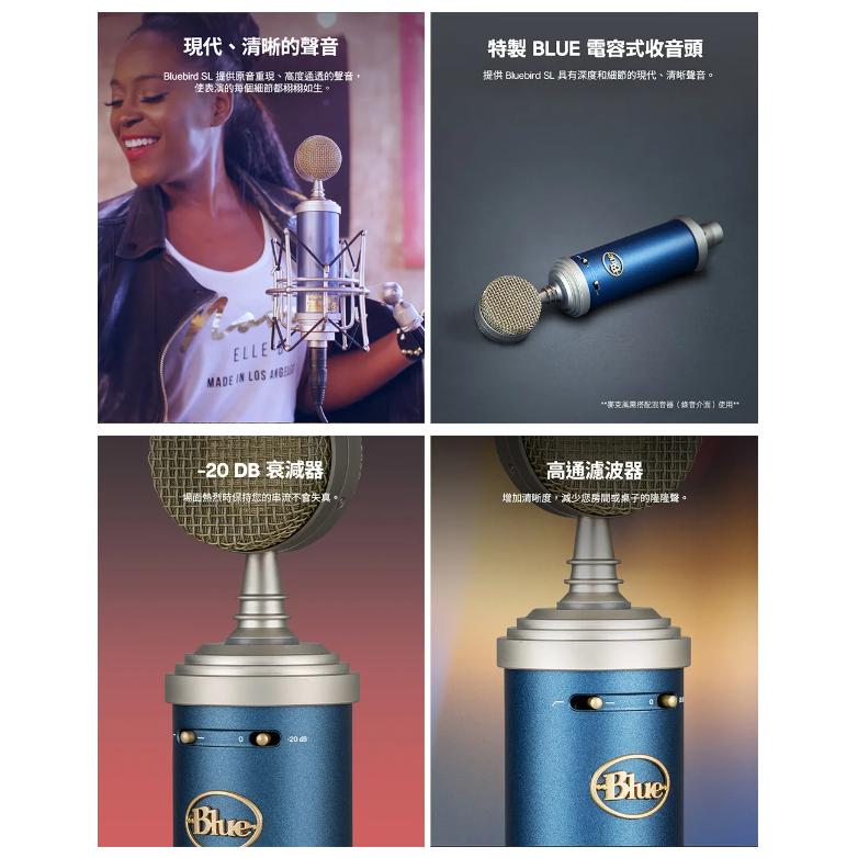 Logitech 羅技 Blue BLUEBIRD SL 藍鳥 專業麥克風 電容式麥克風 直播 實況 錄音 麥克風 光華-細節圖4