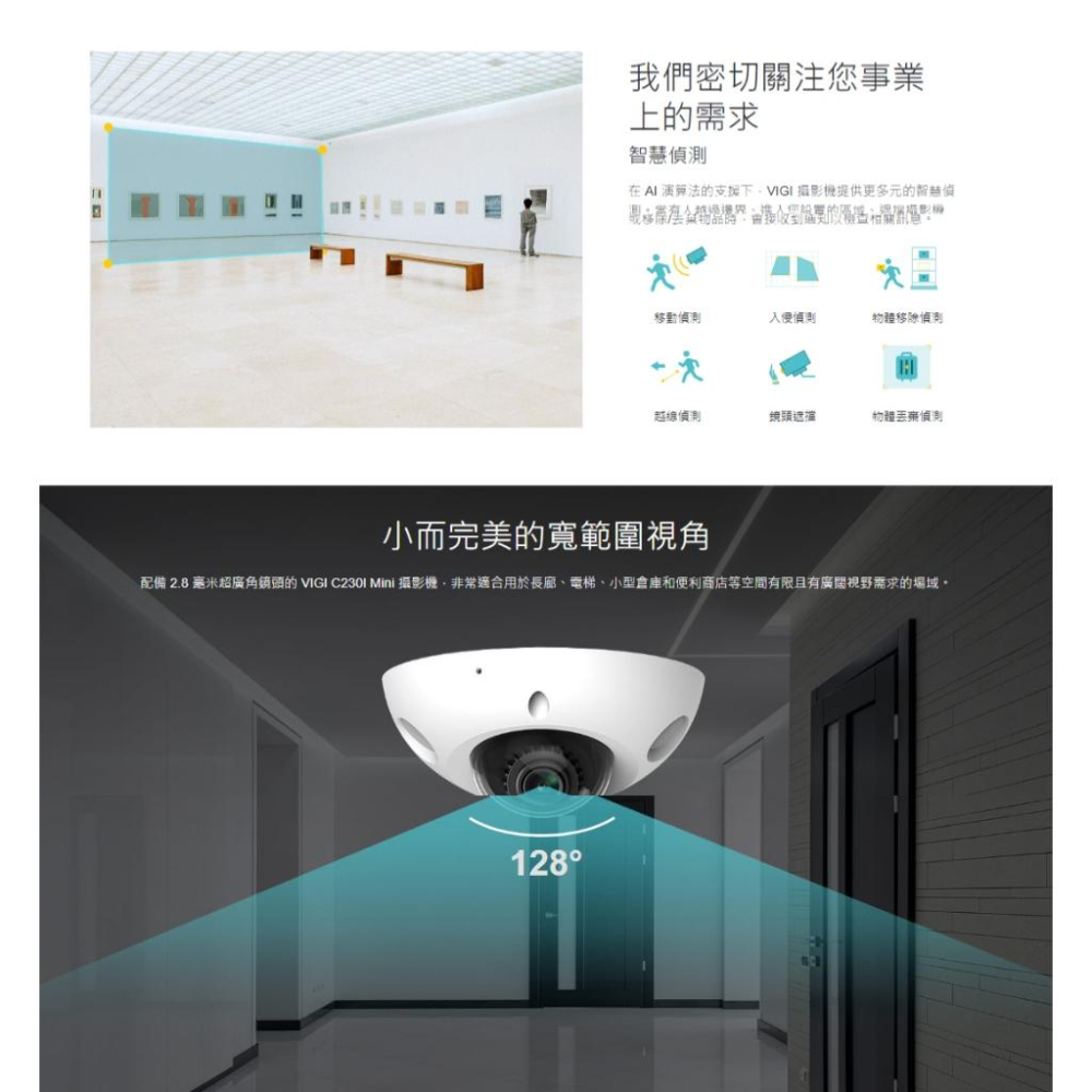 TP-Link VIGI C230I MINI 3MP 紅外線球型 商用網路監視器 監控攝影機 監視器 攝影機 光華-細節圖5