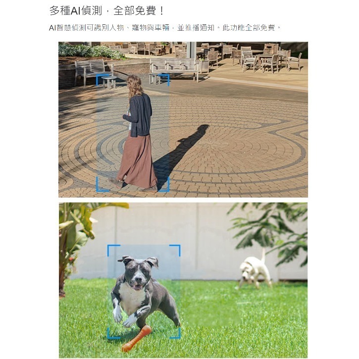 【現貨免運】TP-Link Tapo C520WS 2K 戶外旋轉式 防護攝影機 wifi監視器 網路監控 光華商場-細節圖5