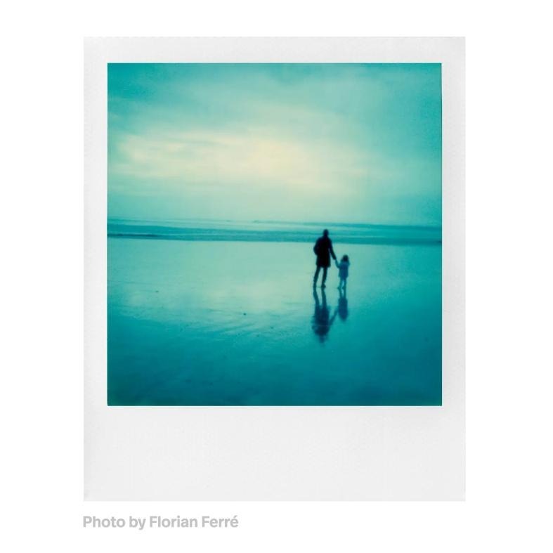 Polaroid 寶麗萊 SX-70 Film 彩色/黑白 白框相紙 拍立得 拍立得底片 照片底片 立可拍 光華-細節圖7