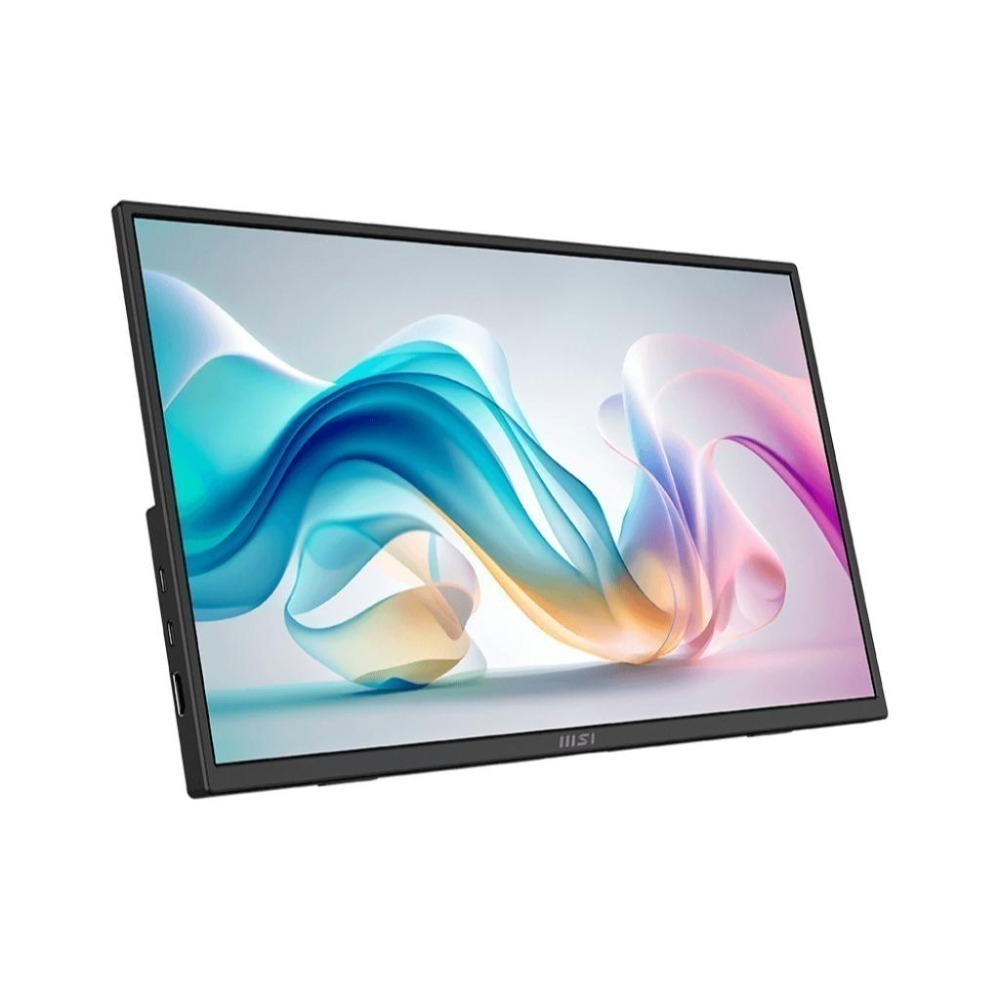 MSI 微星 PRO MP165 E6－15.6吋 FHD 攜帶螢幕 60Hz／IPS／TYPE-C／1/4鎖孔 光華-細節圖2