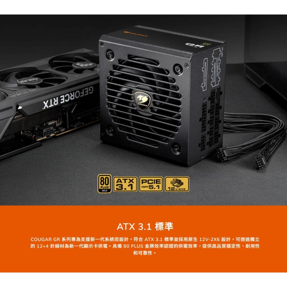 COUGAR 美洲獅 GR 750／850 金牌 ATX 3.1 電源供應器 五年保 全模組 PCIe 5.1 光華-細節圖3