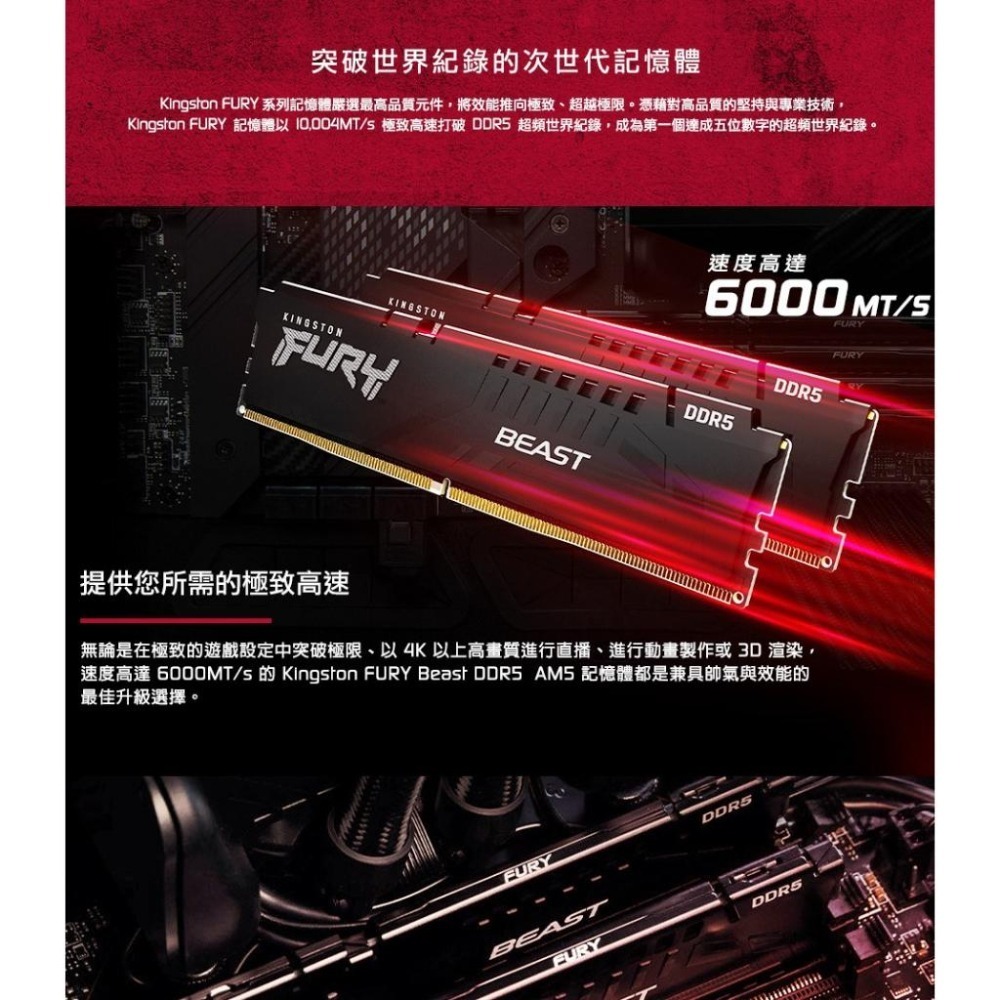 Kingston 金士頓 Beast 獸獵者 DDR5-5600 16G 32G KF556C36BBE-16 -32-細節圖4